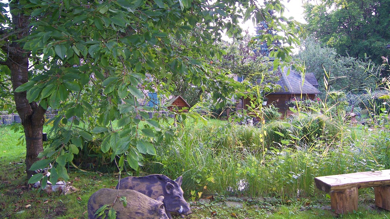 Photo of Others in Ahlbeck