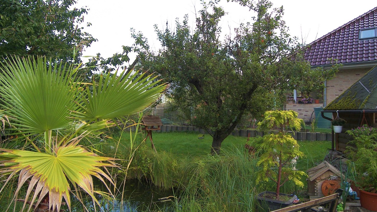 Photo of Outdoor in Ahlbeck