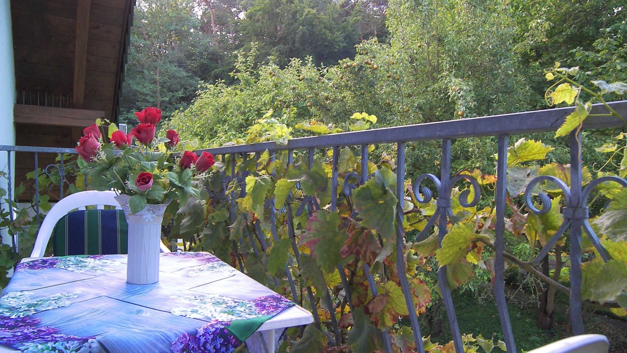 Photo of Outdoor in Ahlbeck