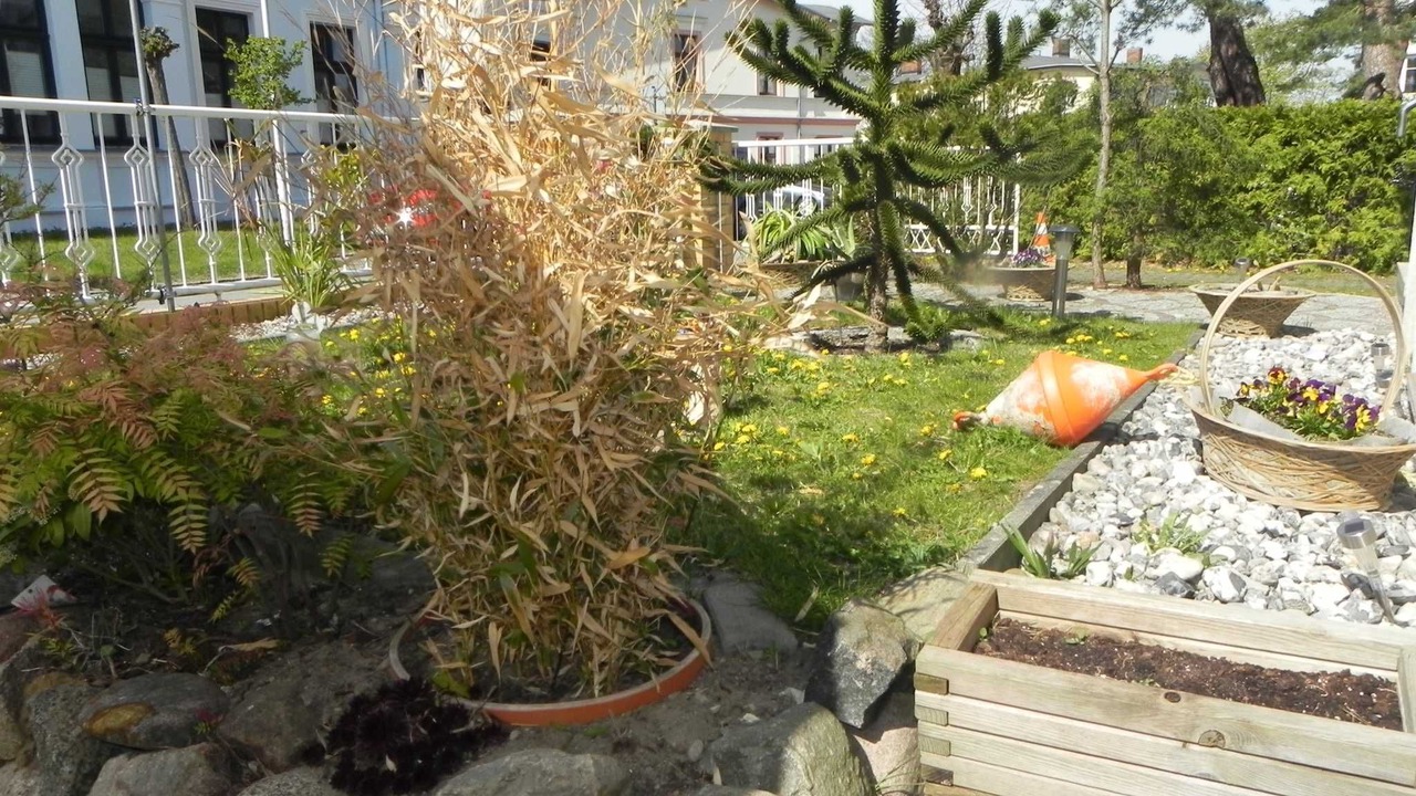 Photo of Outdoor in Ahlbeck