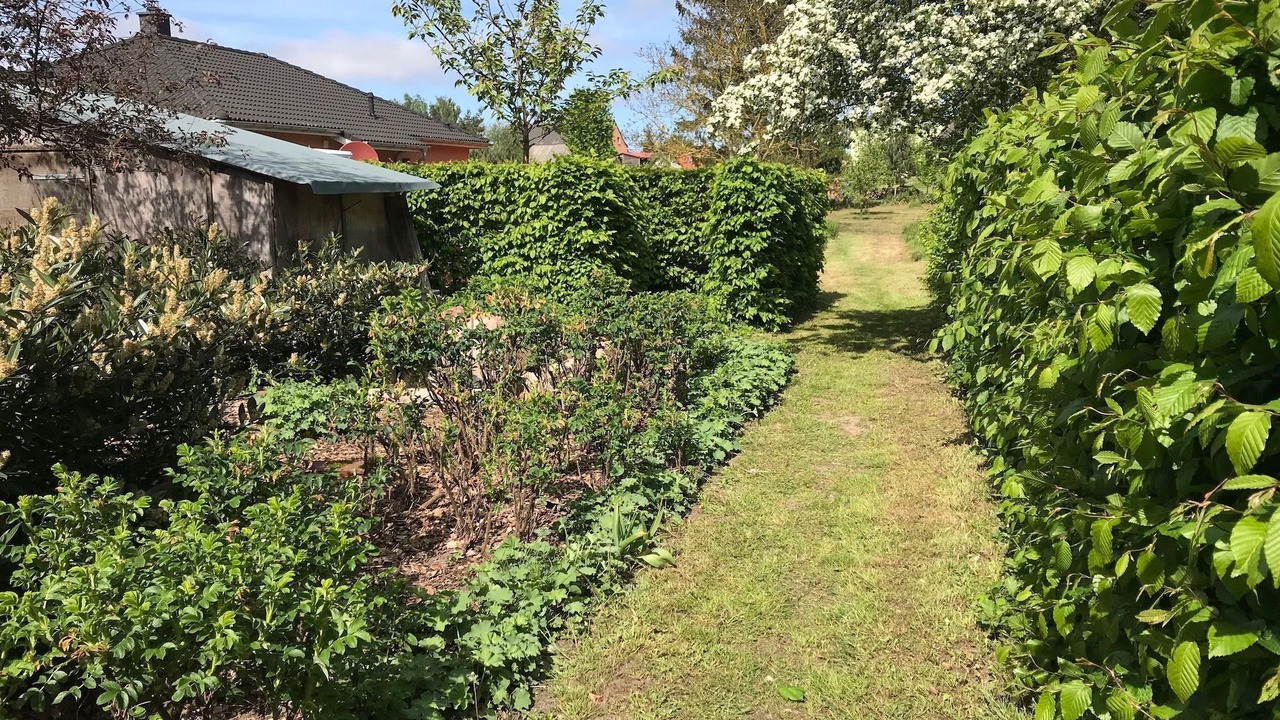 Photo of Outdoor in Morgenitz