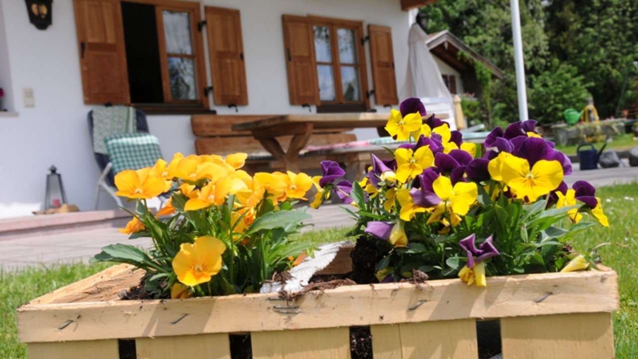 Photo of Outdoor in Fischbachau