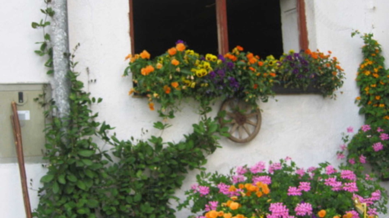 Photo of Outdoor in Fischbachau