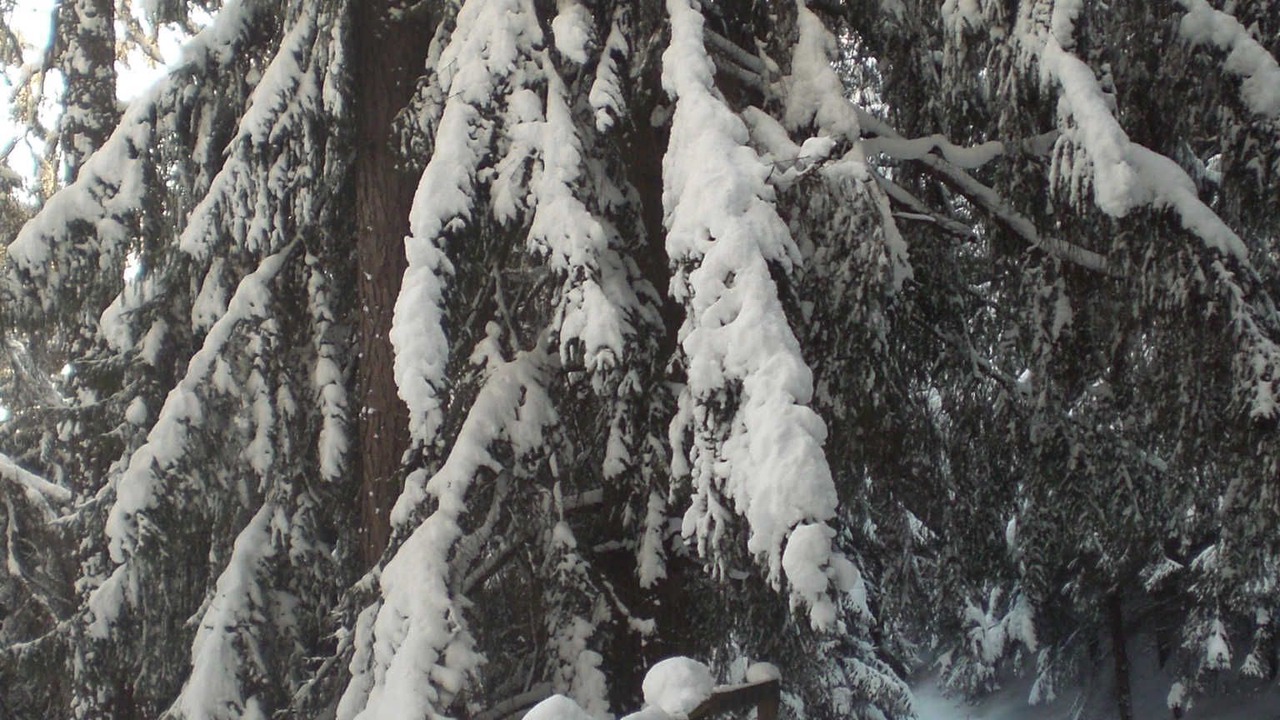 Photo of Outdoor in Medraz