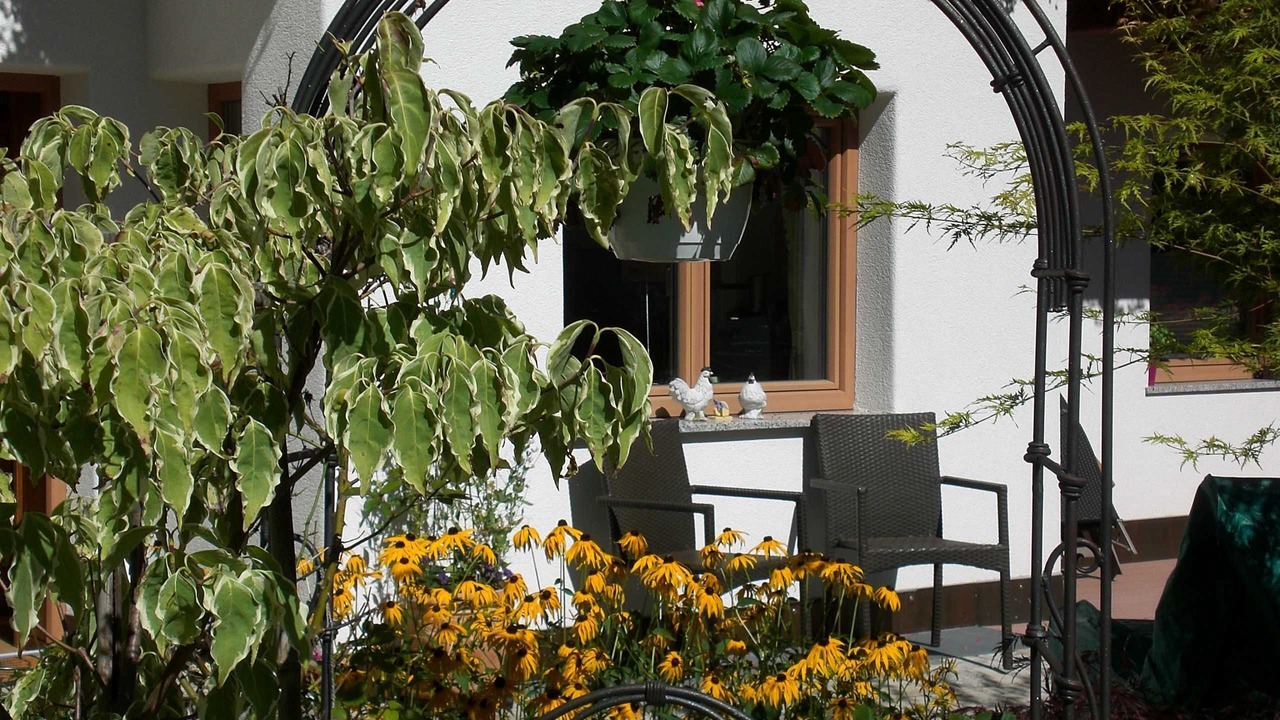 Photo of Outdoor in Medraz