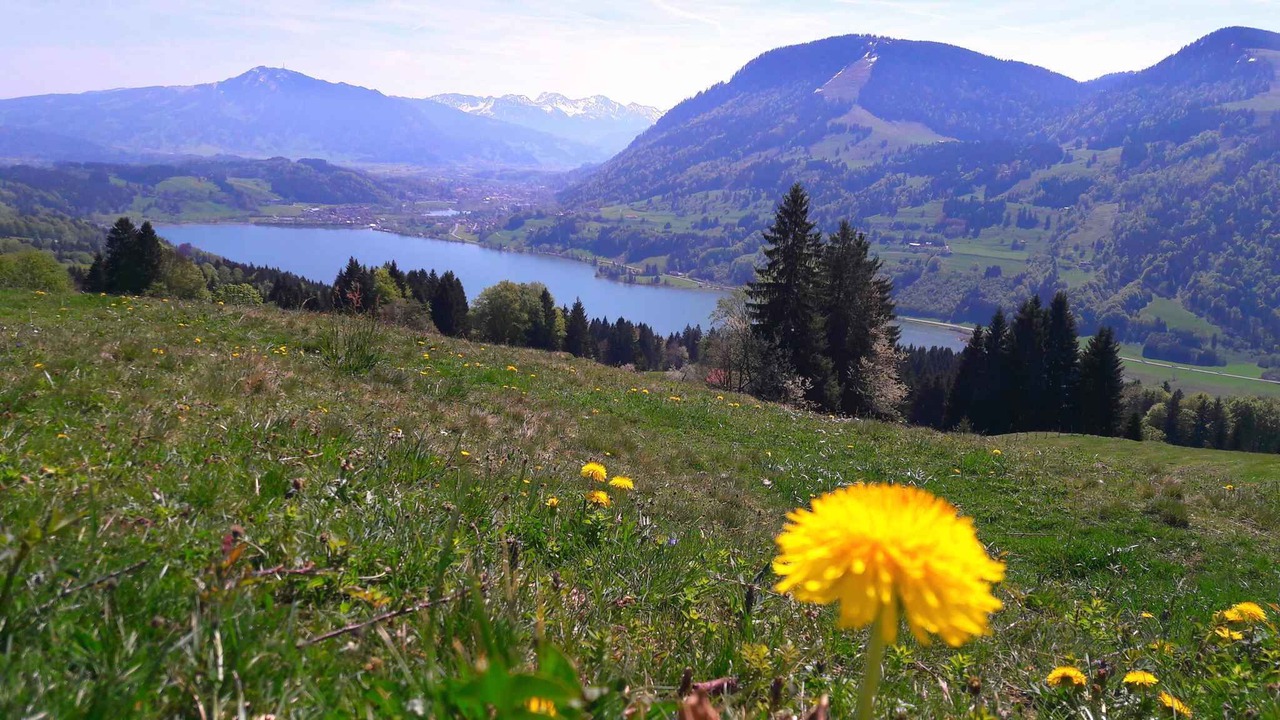 Photo of Outdoor in Immenstadt im Allgaeu