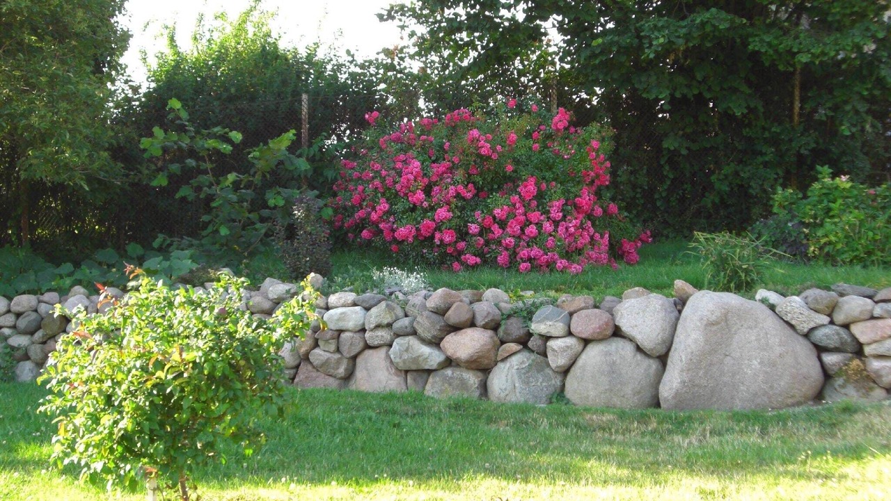 Photo of Outdoor in Zweedorf