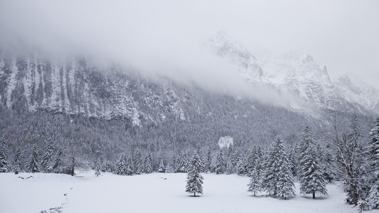 Photo of Others in Mittenwald