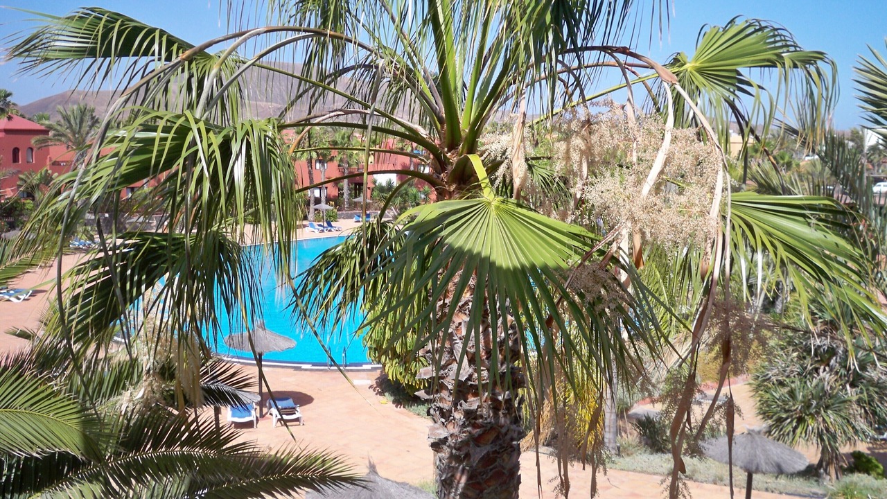Photo of Outdoor in Corralejo
