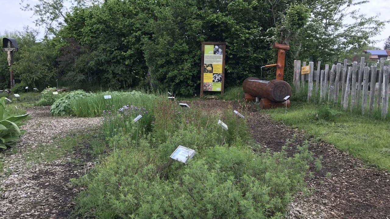 Photo of Outdoor in Missen-Wilhams