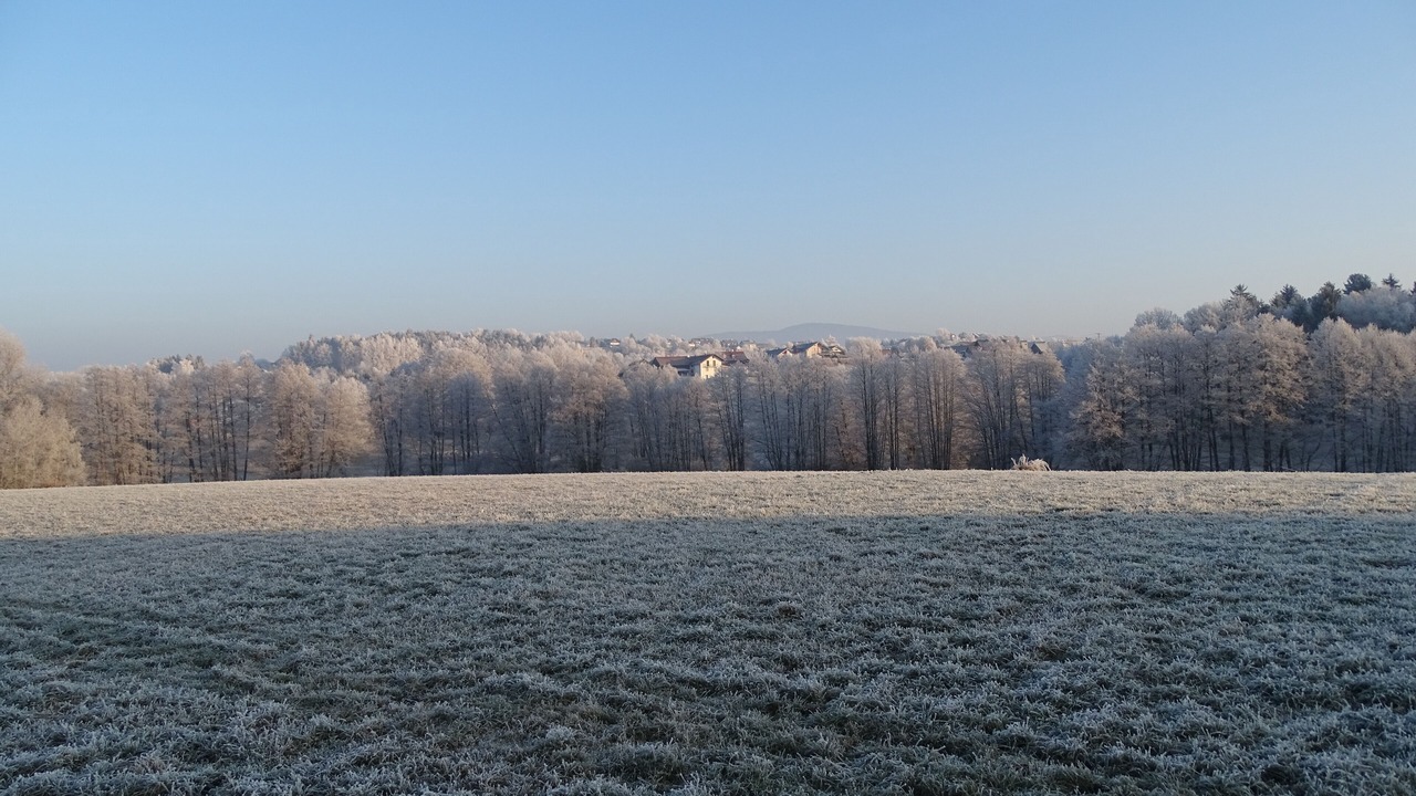Photo of Others in Schoellnach