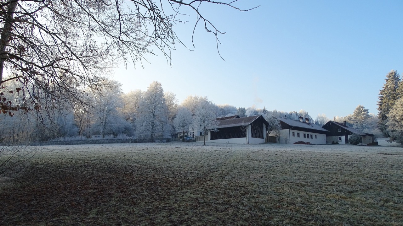 Photo of Outdoor in Schoellnach