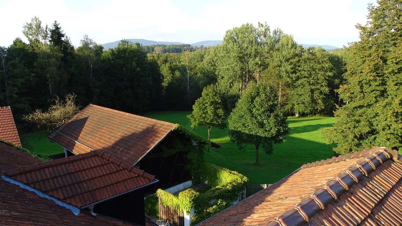 Photo of Outdoor in Schoellnach