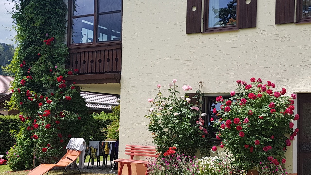 Photo of Outdoor in Habischried