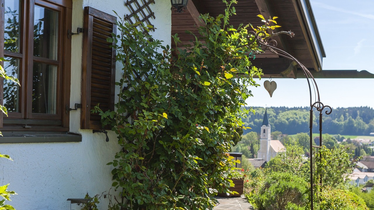Photo of Outdoor in Ebersberg District
