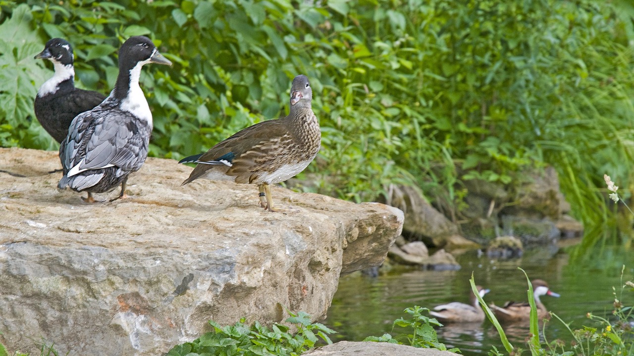 Photo of Outdoor in Hottingen