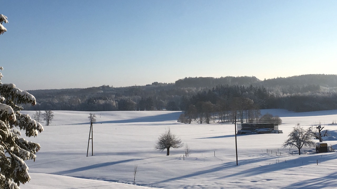 Photo of Others in Bayersried