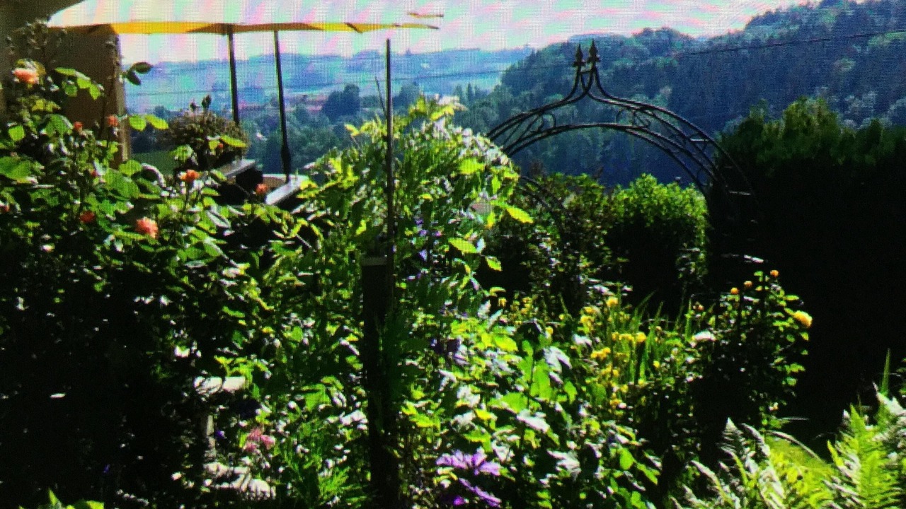 Photo of Outdoor in Unterallgau