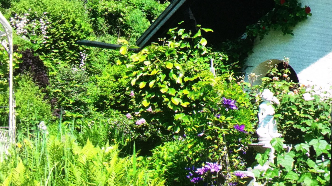 Photo of Outdoor in Unterallgau