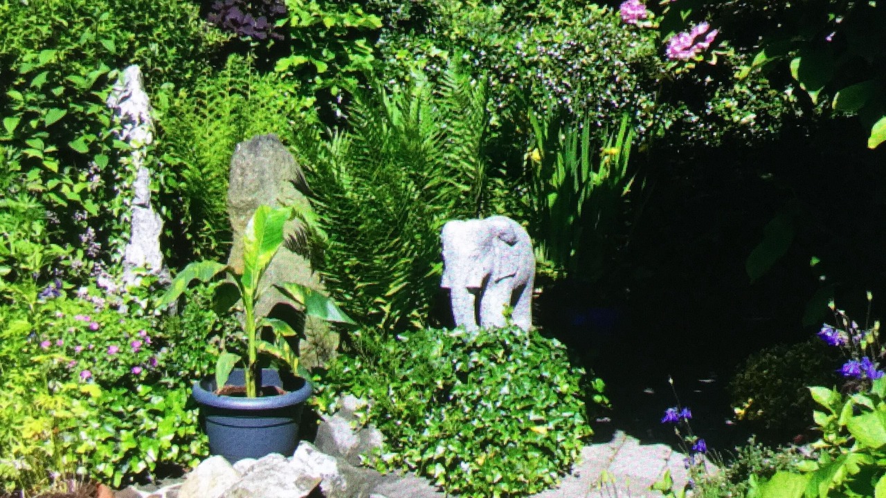 Photo of Outdoor in Unterallgau