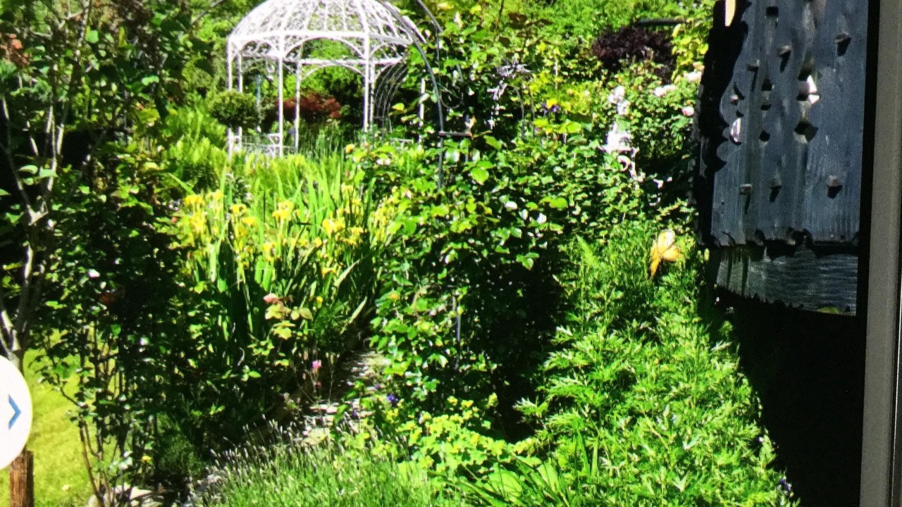 Photo of Outdoor in Unterallgau
