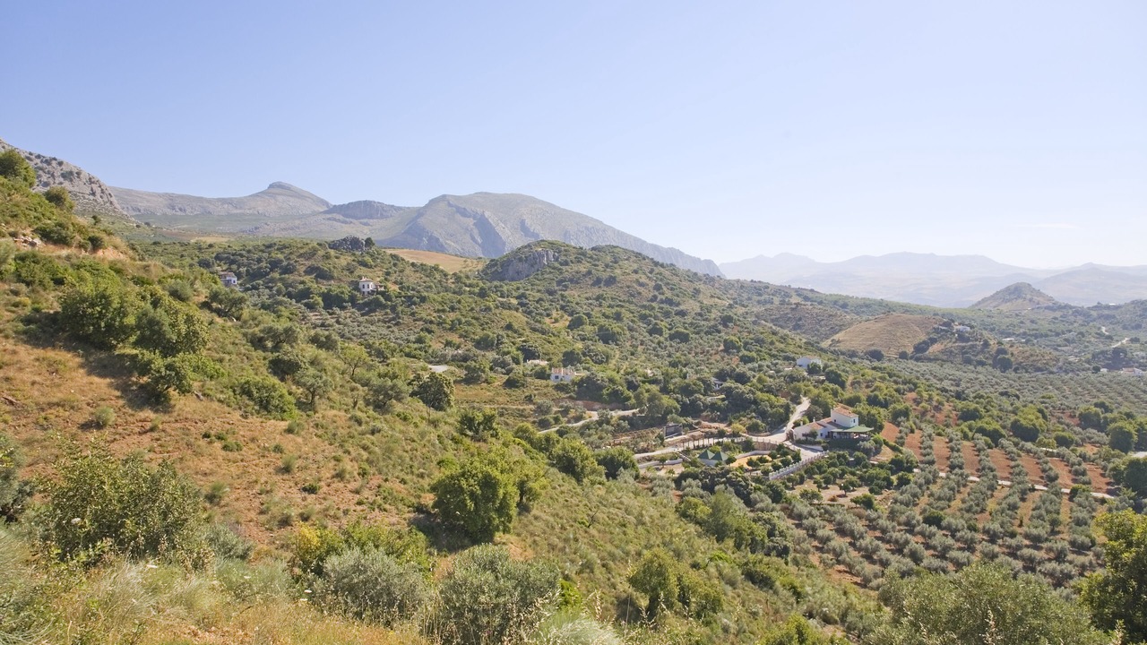Photo of Outdoor in Alora
