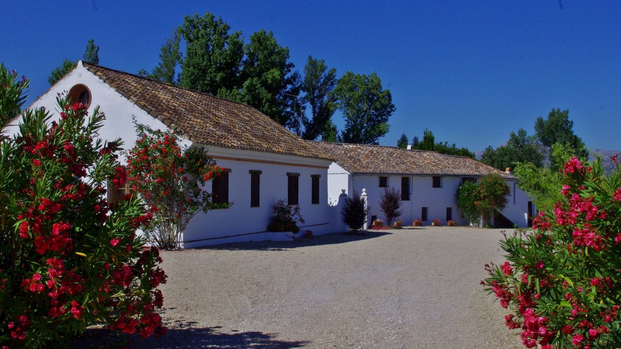 Photo of Others in Ronda