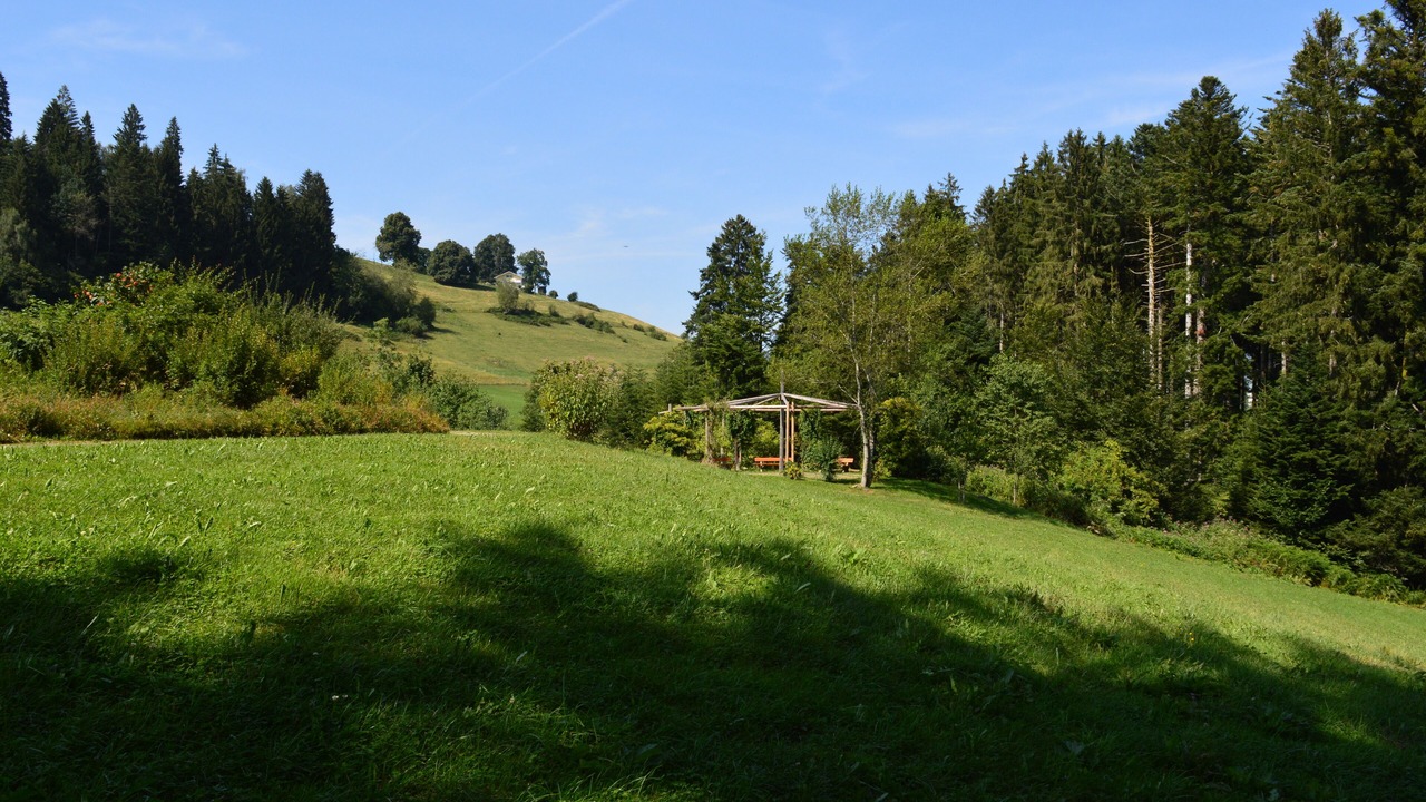 Photo of Others in Scheidegg
