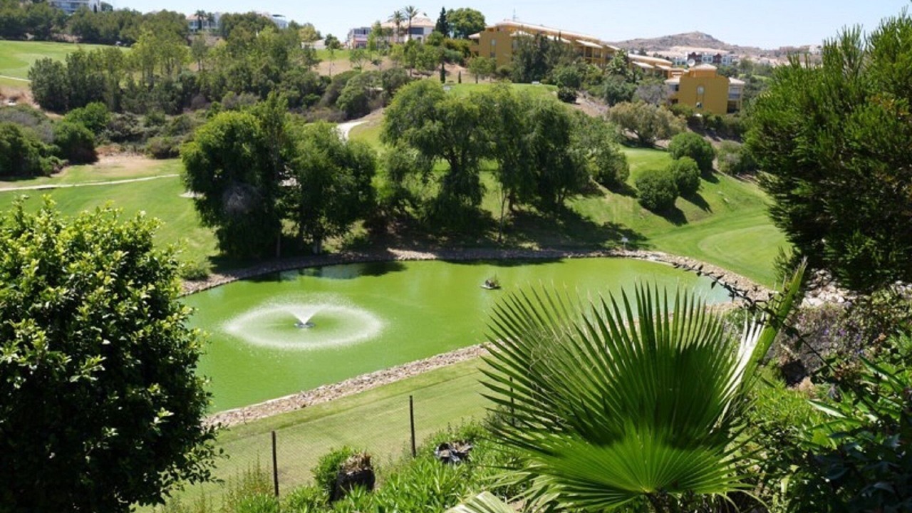Photo of Outdoor in Mijas
