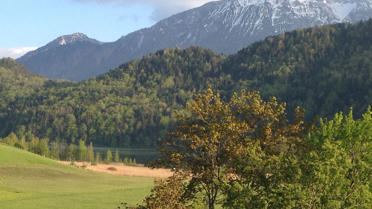 Photo of Others in Schwarzenbach