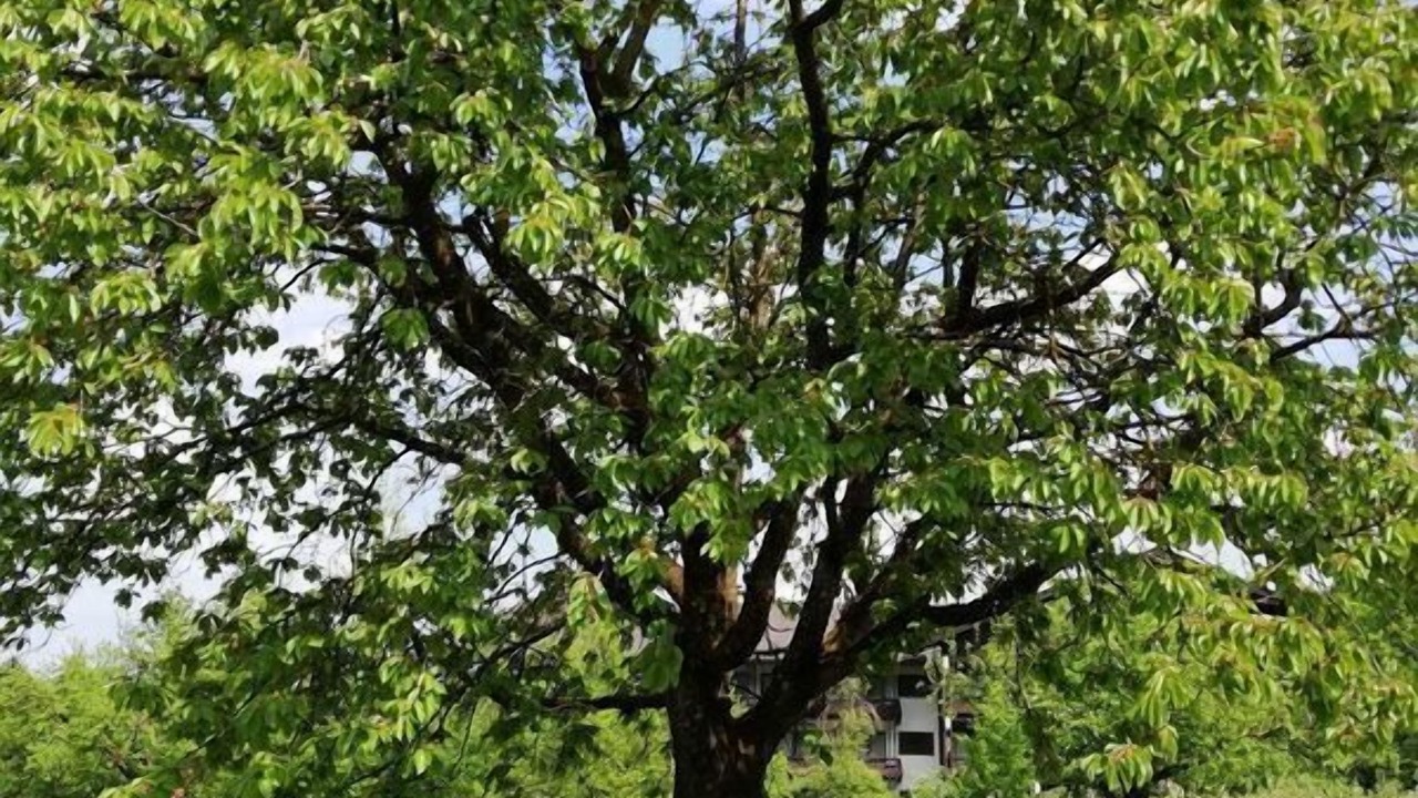 Photo of Outdoor in Bad Feilnbach