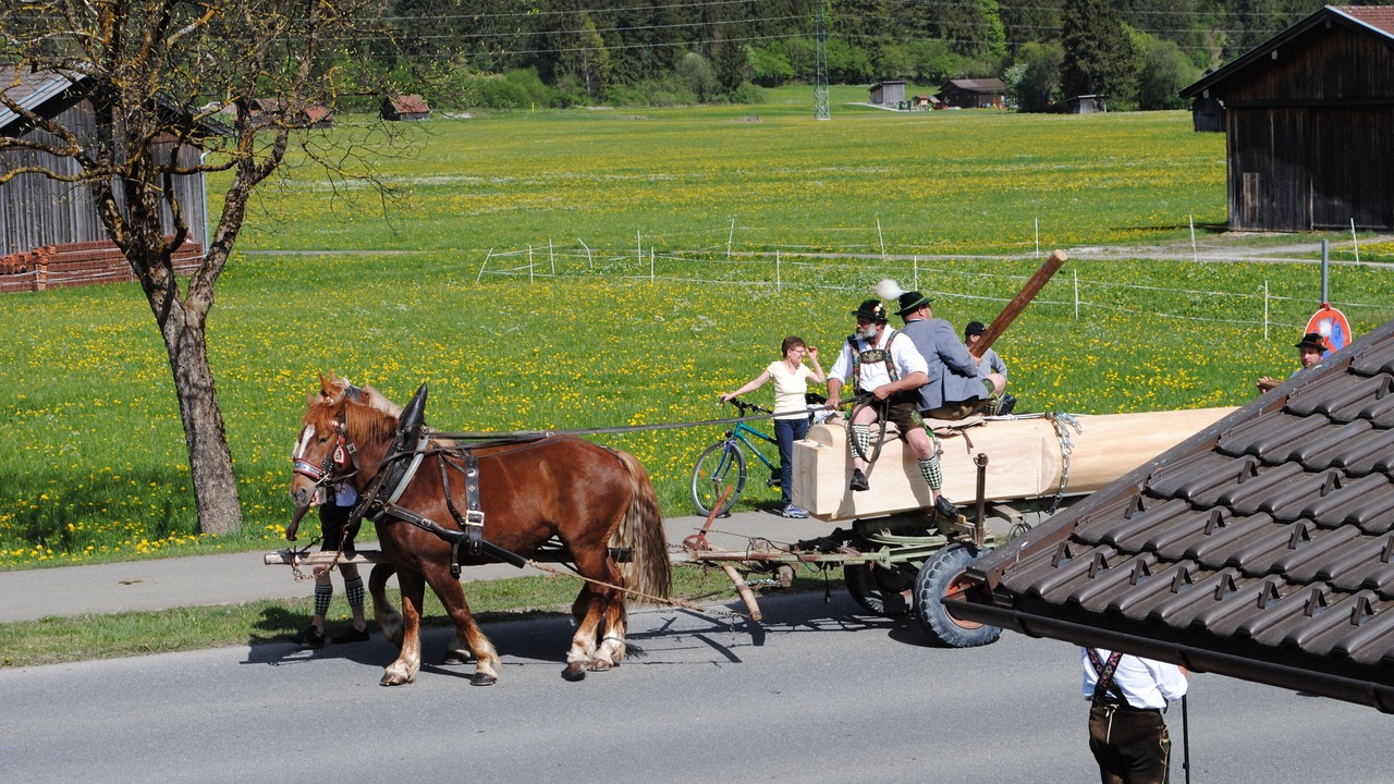Photo of Others in Farchant