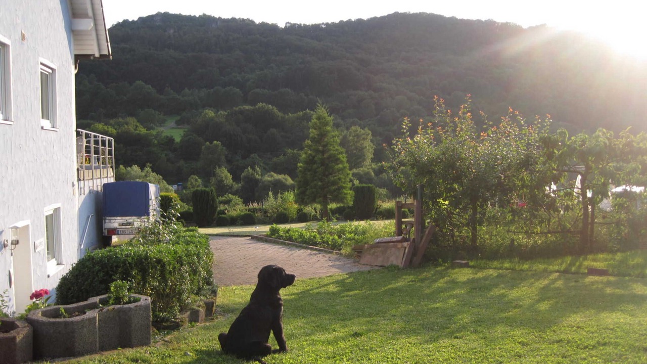 Photo of Outdoor in Leutenbach