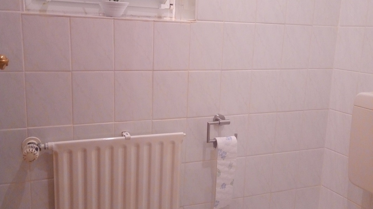 Photo of Bathroom in Ehingen a. Ries