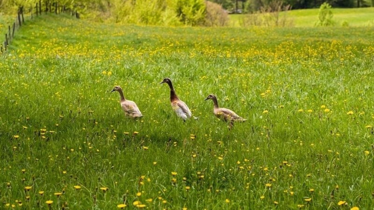Photo of Others in Ramsau bei Berchtesgaden