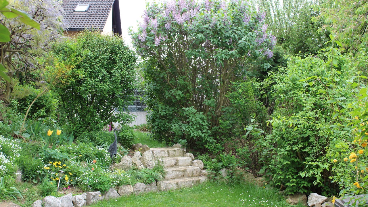 Photo of Outdoor in Schesslitz