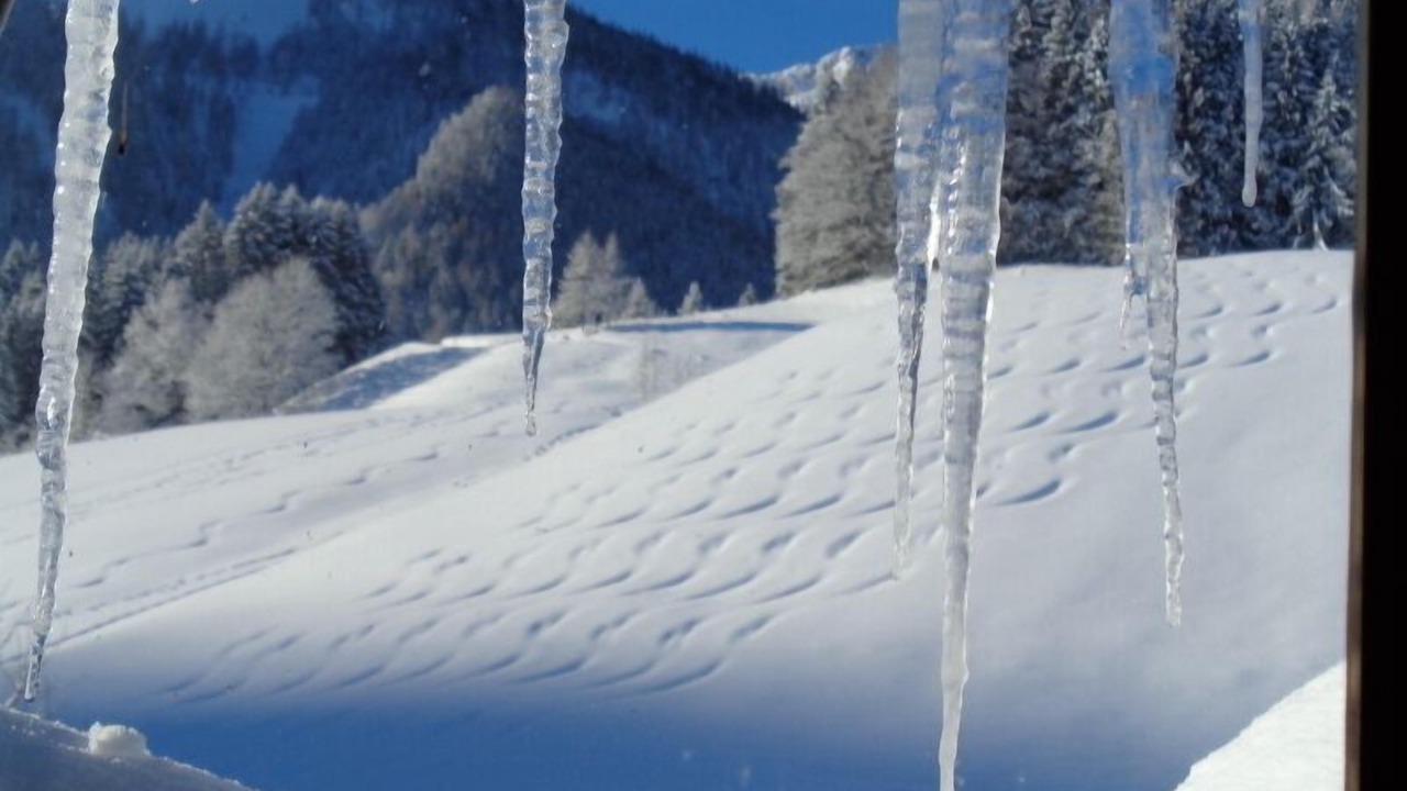 Photo of Others in Inzell
