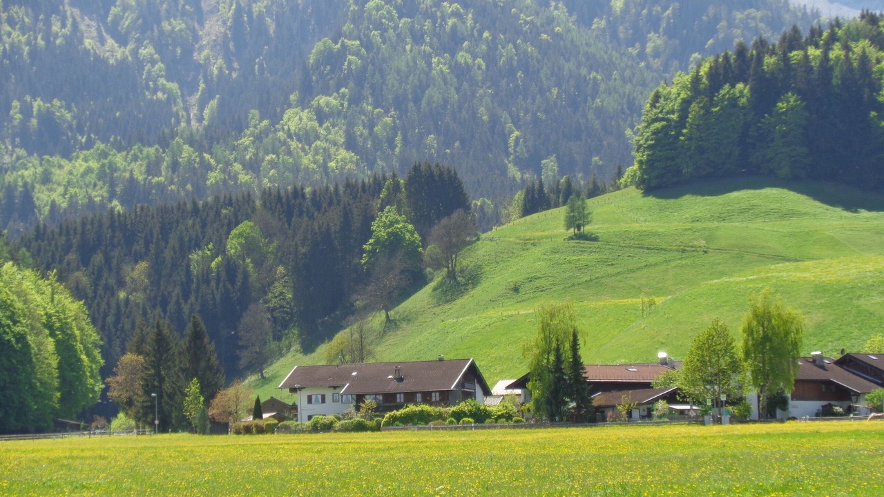 Photo of Others in Inzell