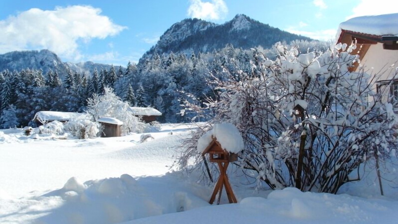 Photo of Others in Inzell