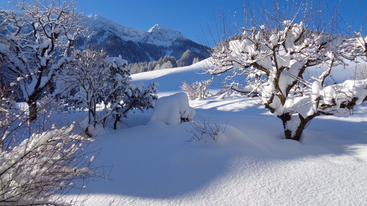 Photo of Others in Inzell