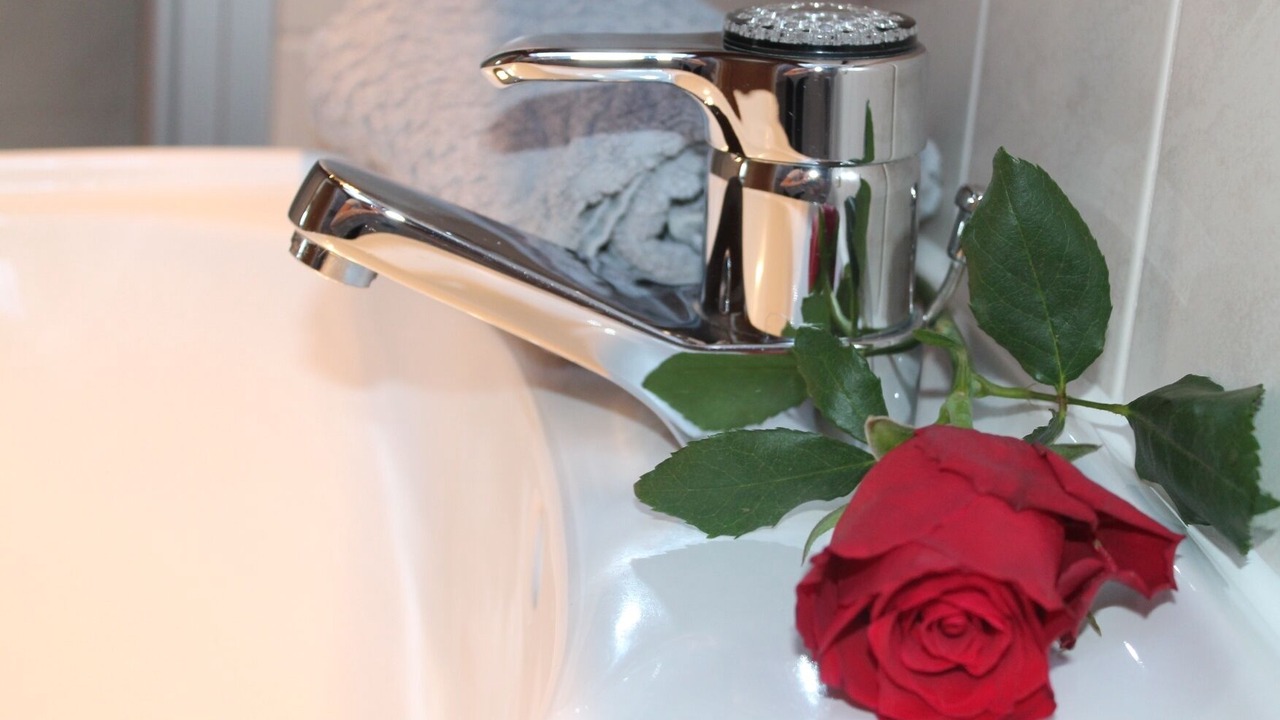 Photo of Bathroom in Anger