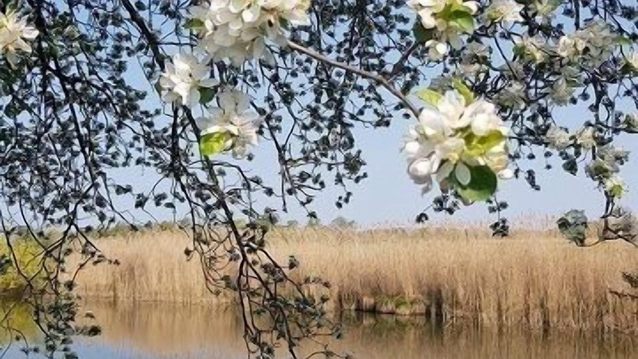 Photo of Others in Uebersee