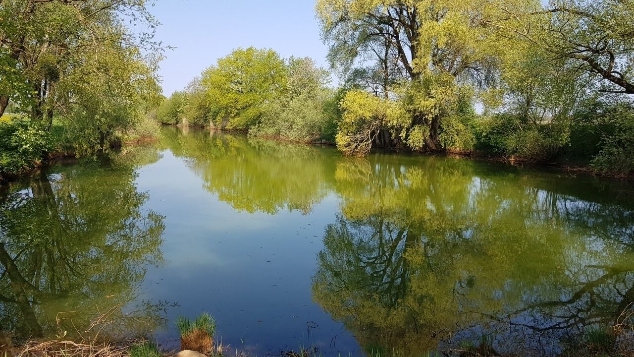 Photo of Outdoor in Uebersee