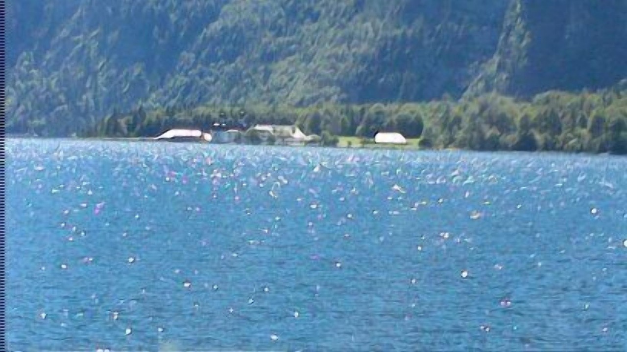 Photo of Others in Engedey