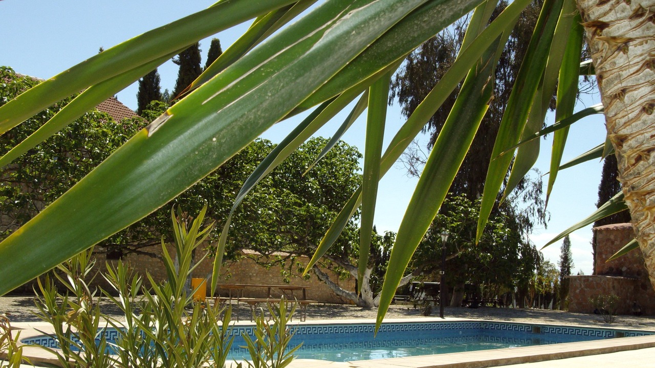 Photo of Outdoor in Humilladero