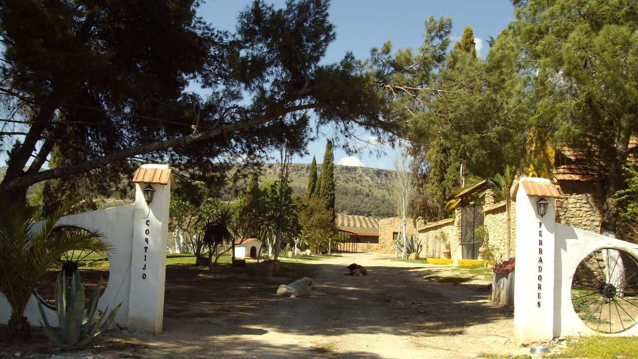 Photo of Outdoor in Humilladero