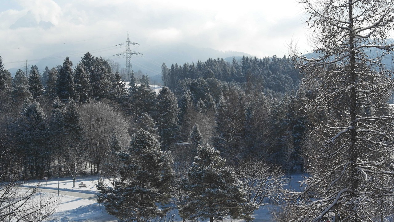 Photo of Others in Schwarzenbach