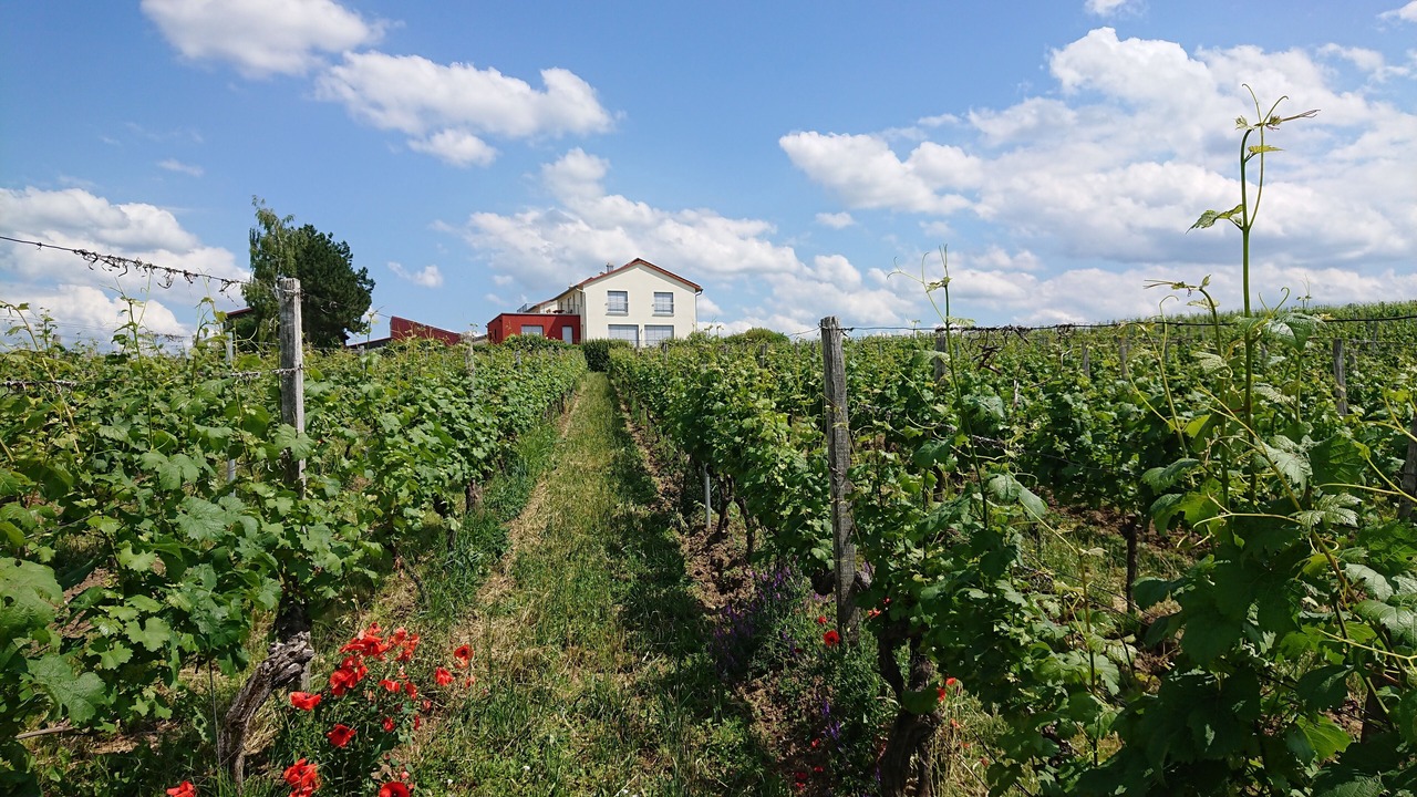 Photo of Outdoor in Kitzingen