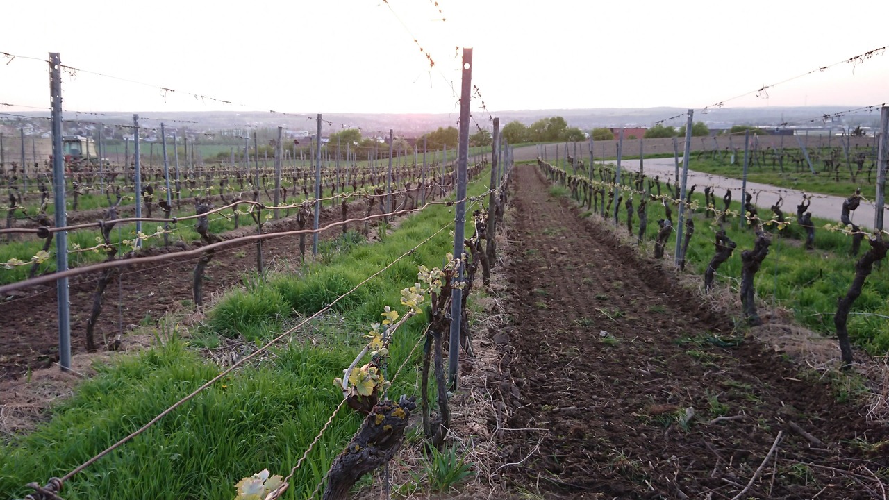 Photo of Outdoor in Kitzingen