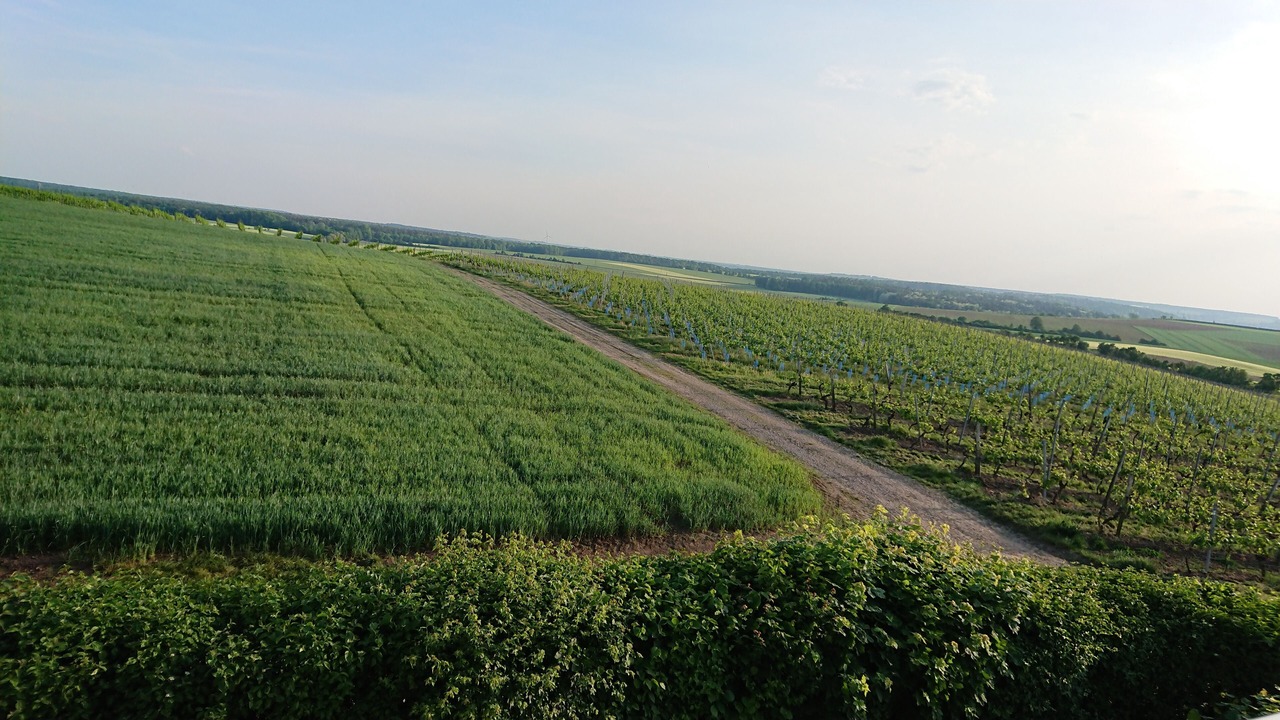 Photo of Outdoor in Kitzingen
